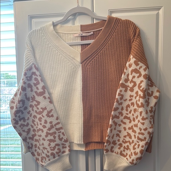 Sweaters - Colorblock Leopard Sleeve Sweater (Francesca’s)
